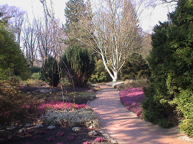 Der größte Themengarten unseres Gartens