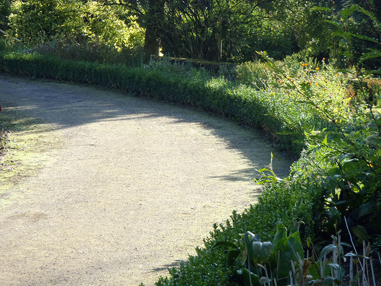 Gesäumt von Bux: Der Kräutergarten