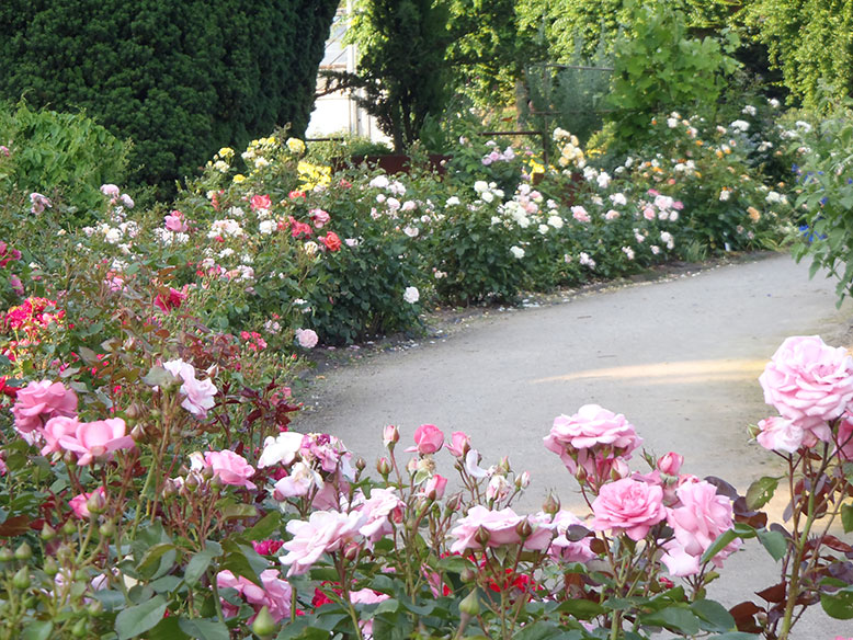 Der Märchenrosengarten