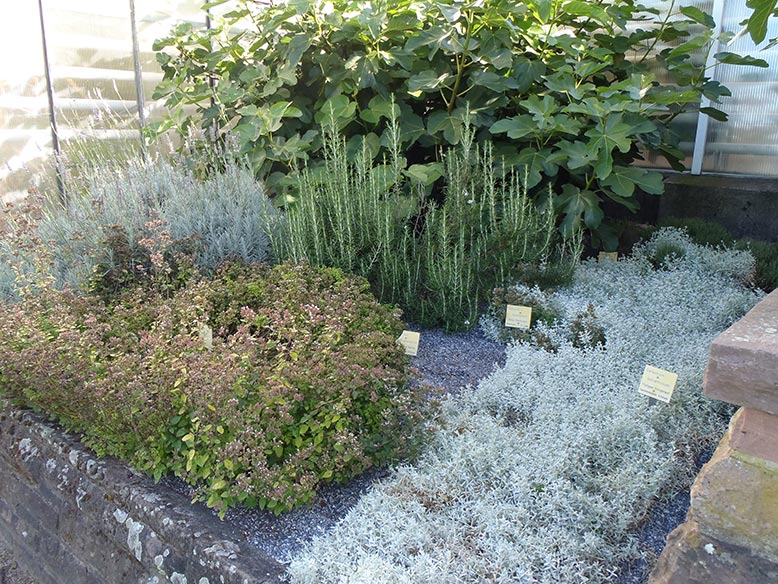 Eines der Beete im mediterranen Garten