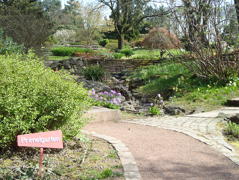 Der Primelgarten