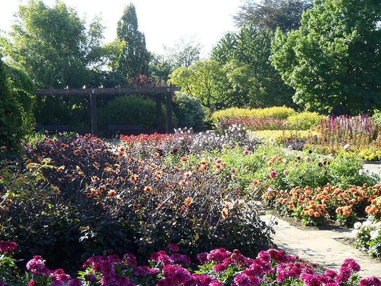 Der Sichtungsgarten im Sommer