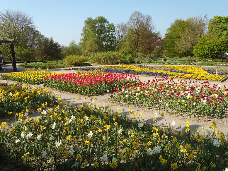 Der Sichtungsgarten im Frühjahr