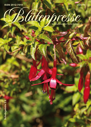 Die Blütenpresse Ausgabe 02/2019 auf issuu zum Blättern